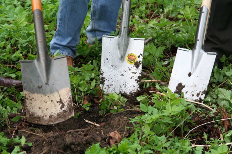 pepiniere-ANDON-min_work-lawn-flower-tool-green-backyard-1103633-pxhere.com